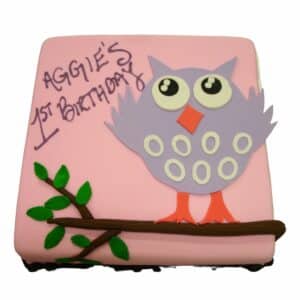 Owl Bithday Cake 399