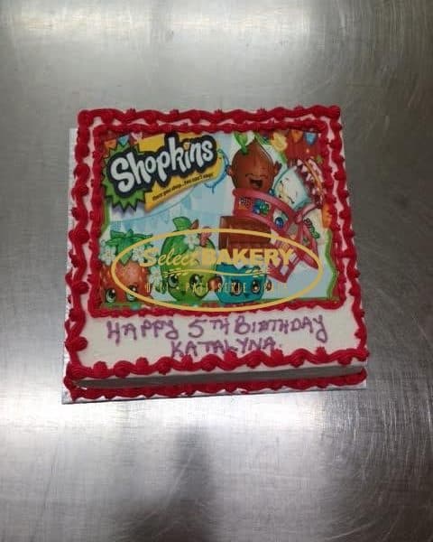 Birthday Cake Universe 504